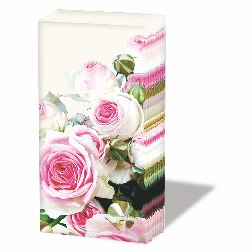 TISSUE- MAXIMA, CREAM