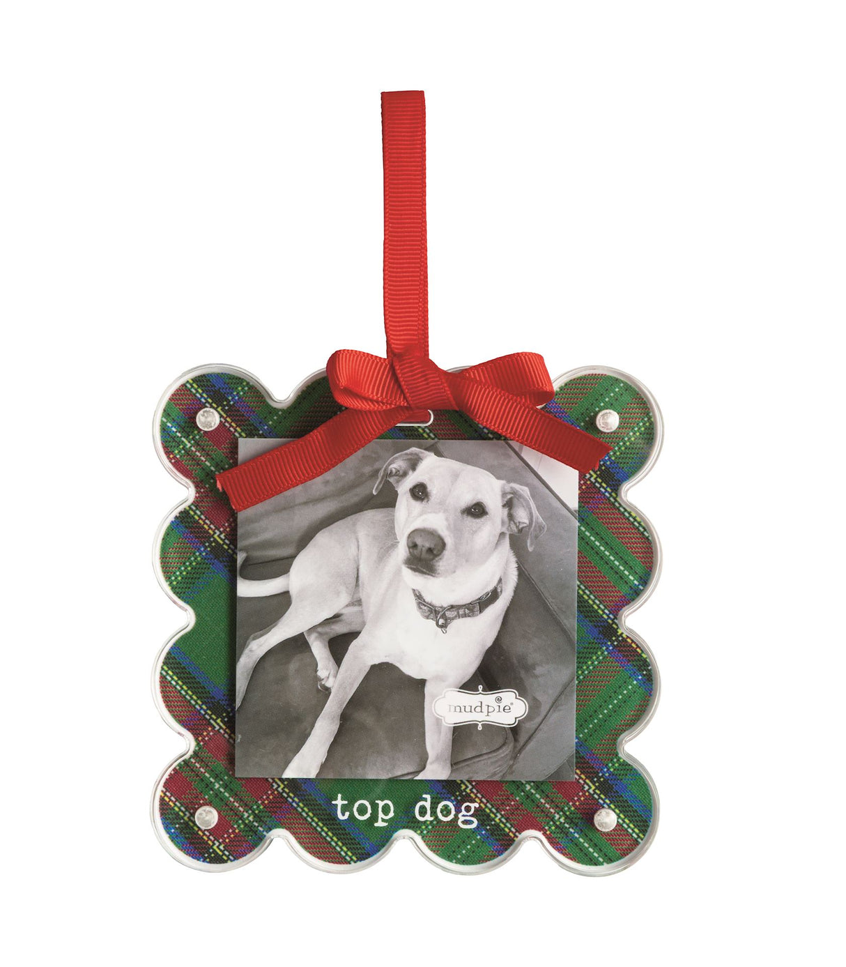 Top Dog Tartan Photo Ornament
