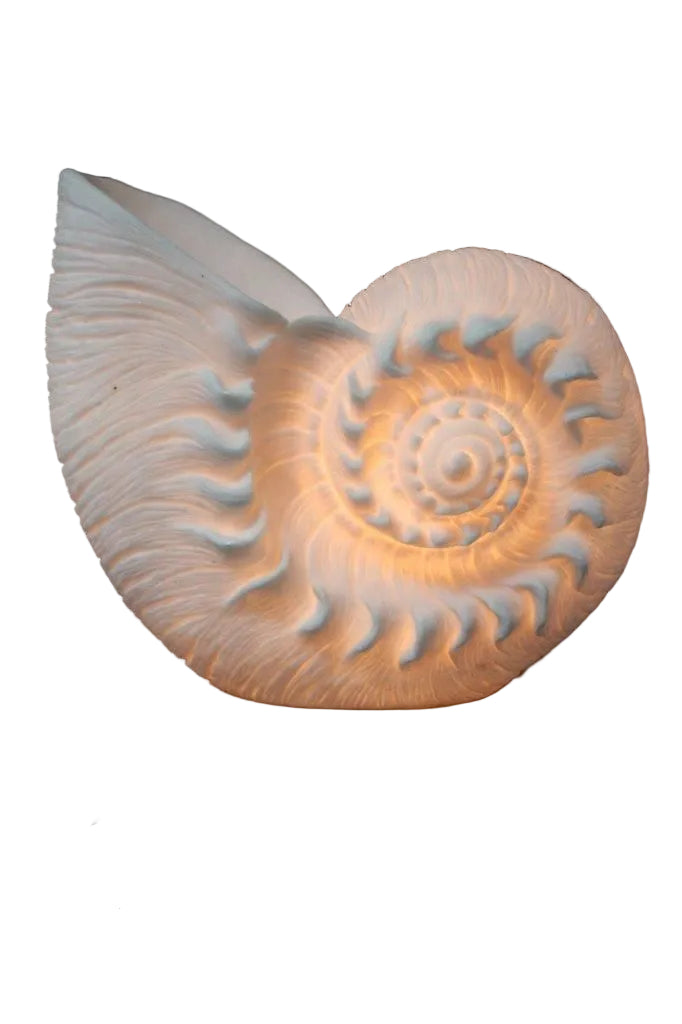 Nautilus Lamp 12x11.5x6"