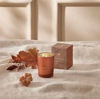 Pumpkin Laurel 2oz Votive Candle
