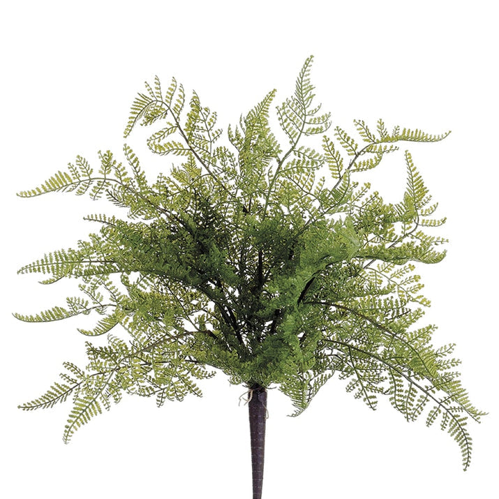 19.5" Plastic Lace Fern Silk Plant -Green