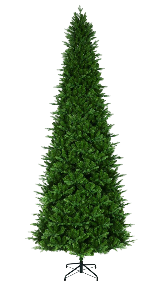 12" Alberta Slim Spruce