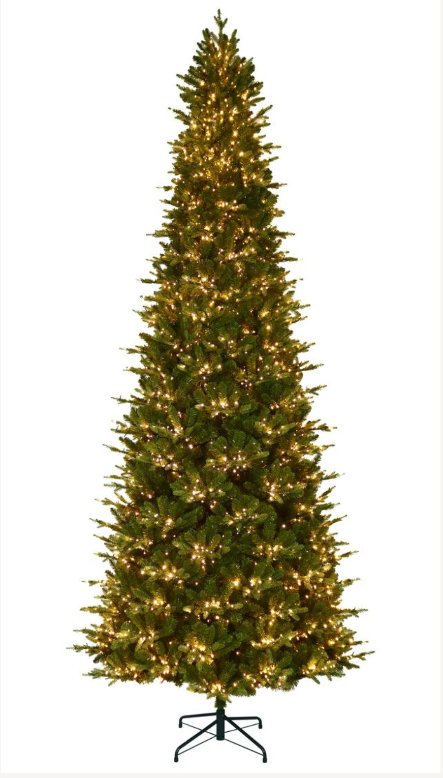 12" Alberta Slim Spruce