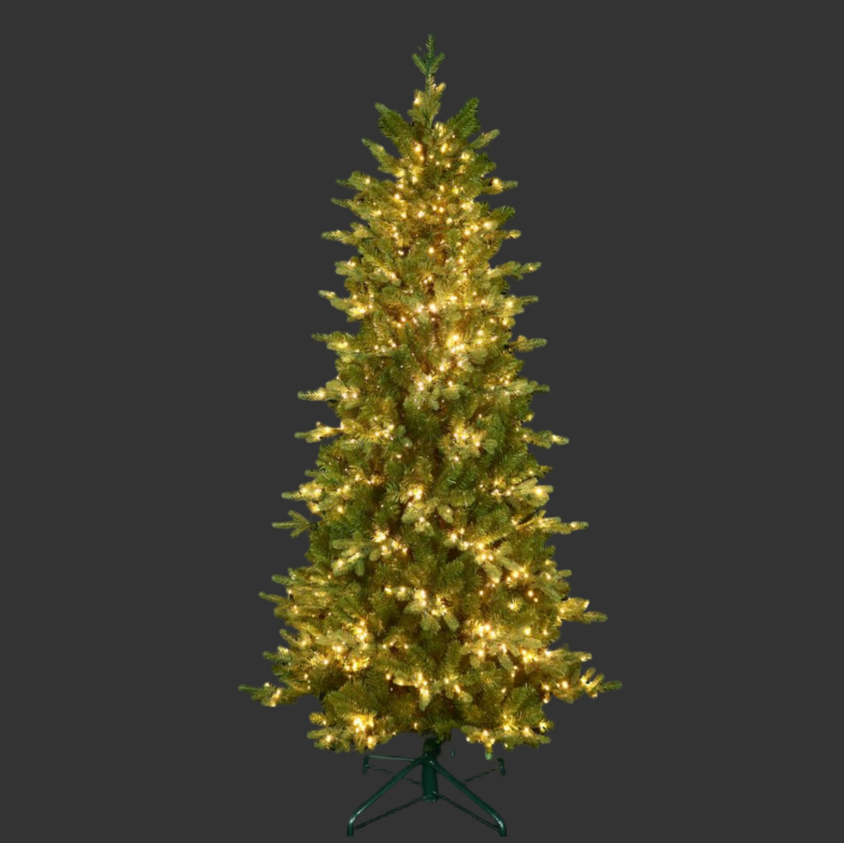 6.5" Alberta Slim Spruce