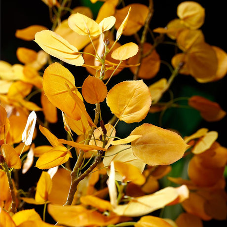 47" Aspen Leaf Spray  - Yellow