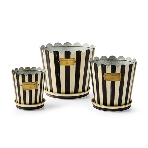 Courtly Stripe Pots & Saucers