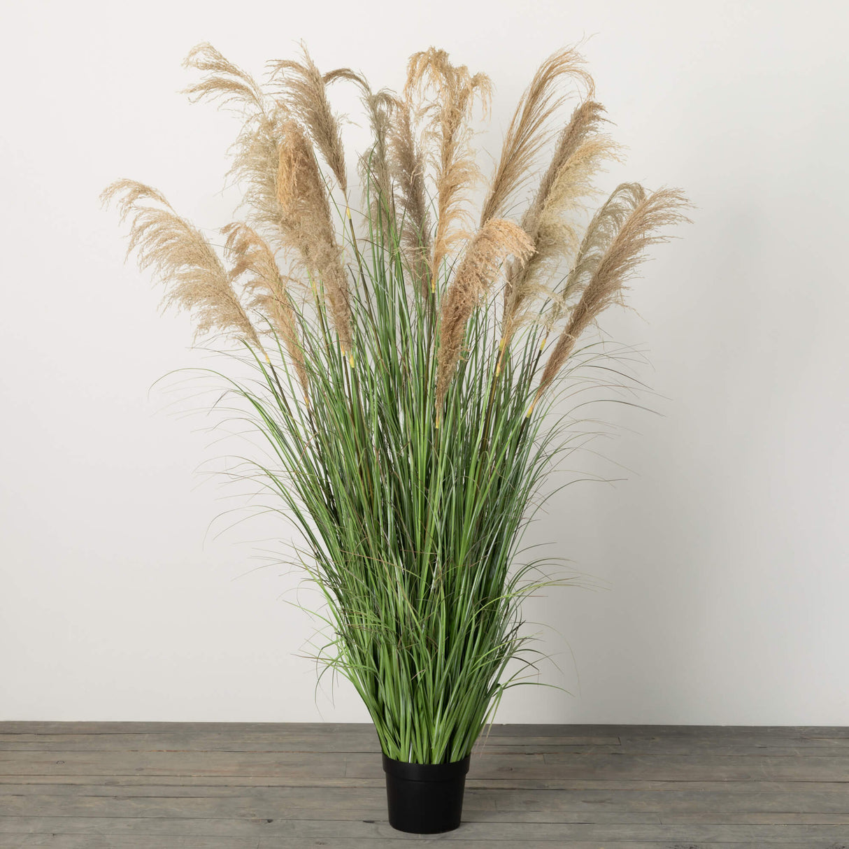 POTTED PLUMED GRASS