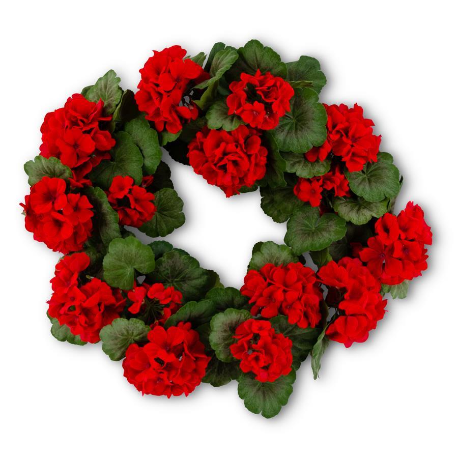 24" Red Geranium Wreath