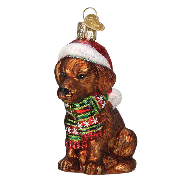 HOLIDAY CHOCOLATE LABRADOR PUP