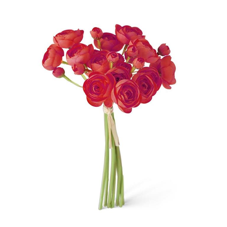 11 Inch Red Mini Ranunculus Bundle (7 Stems)
