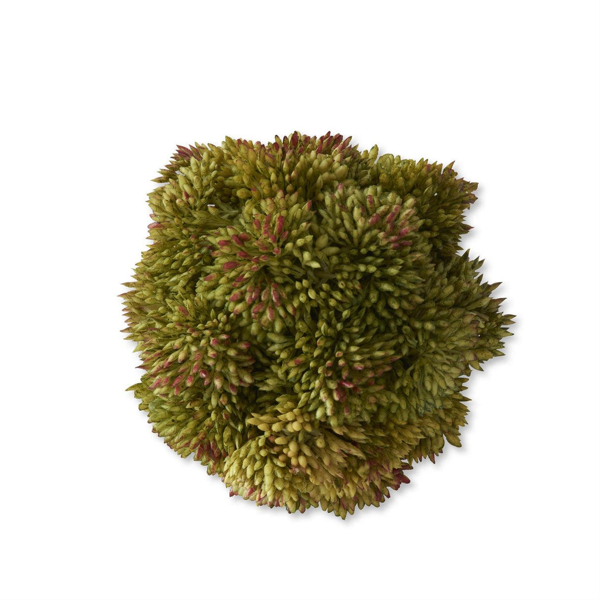 4 Inch Dark Green Sedum Ball