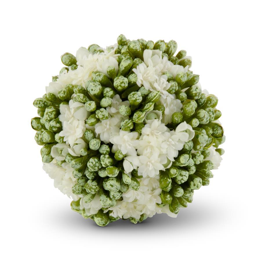 5 Inch White Kalanchoe Ball