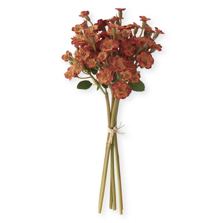 11 Inch Orange Primrose Bundle (6 Stems)