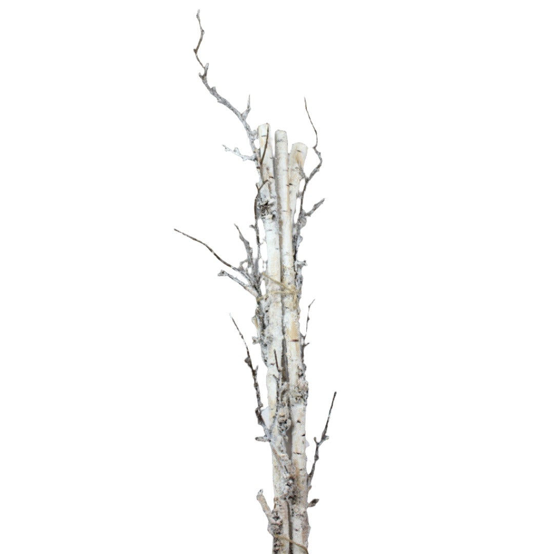 28" Birch Branch - Natural