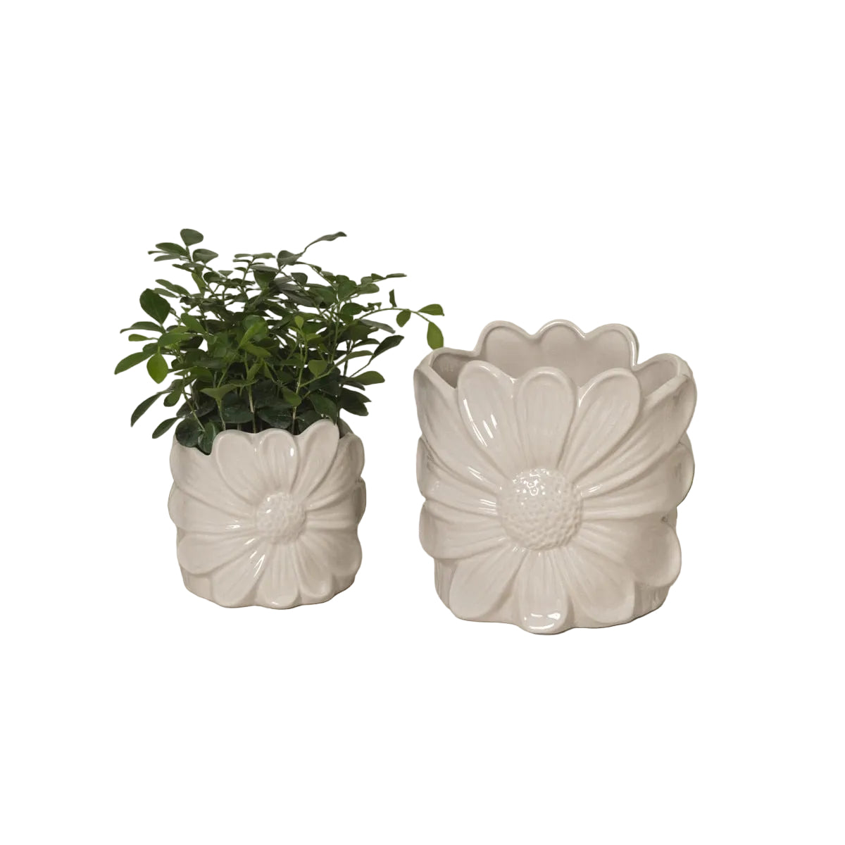 Ceramic Flower Planters