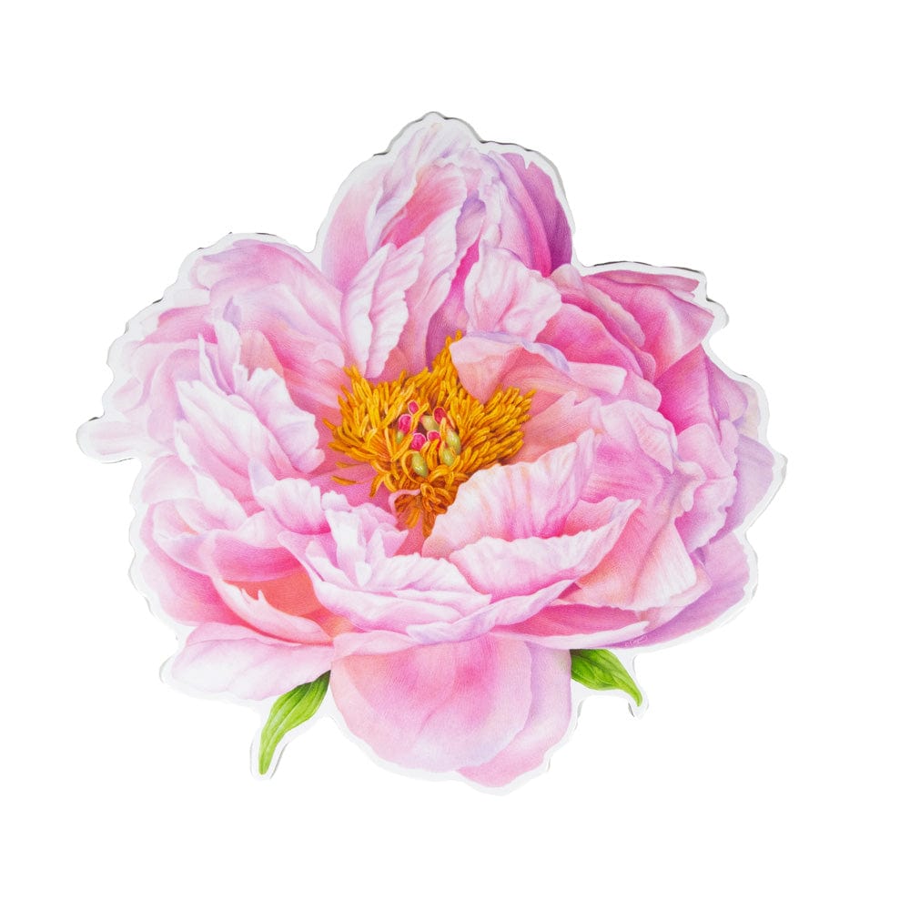 Pink Peony Placemat