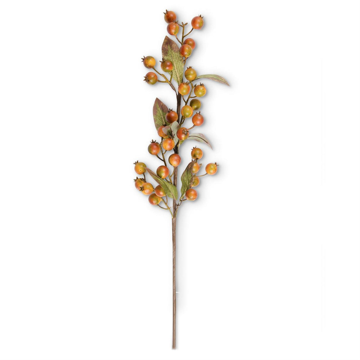 32 Inch Orange w/Green Rosehip Stem
