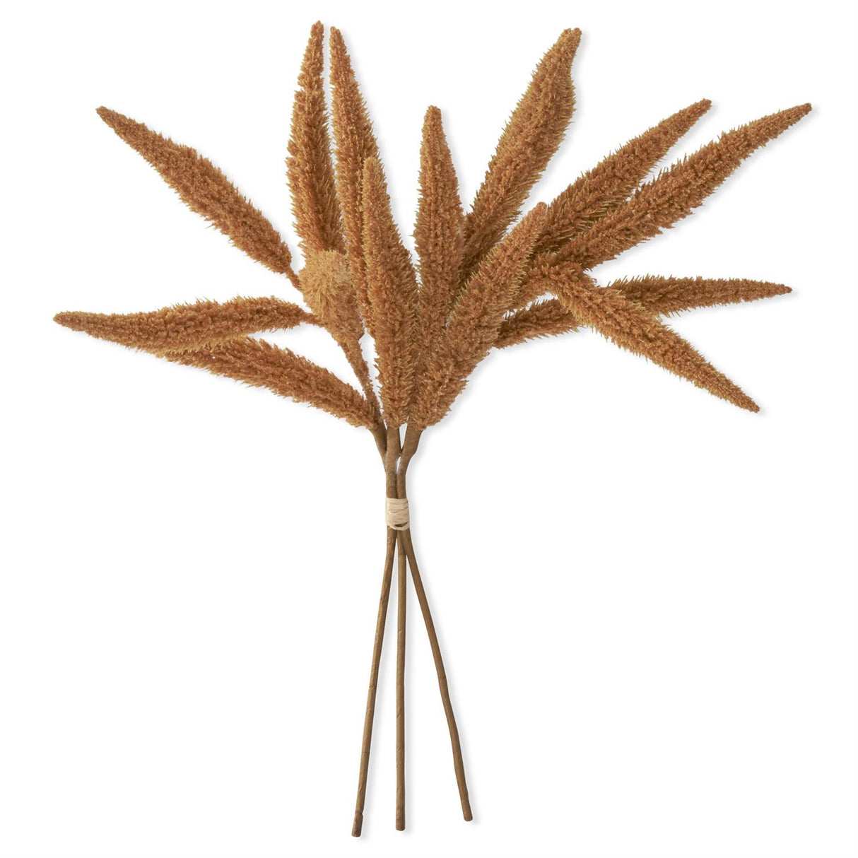 24 Inch Mustard Millet Bundle (3 Stems)