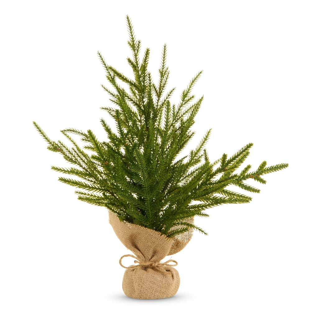 18" Potted Norfolk Pine Tree