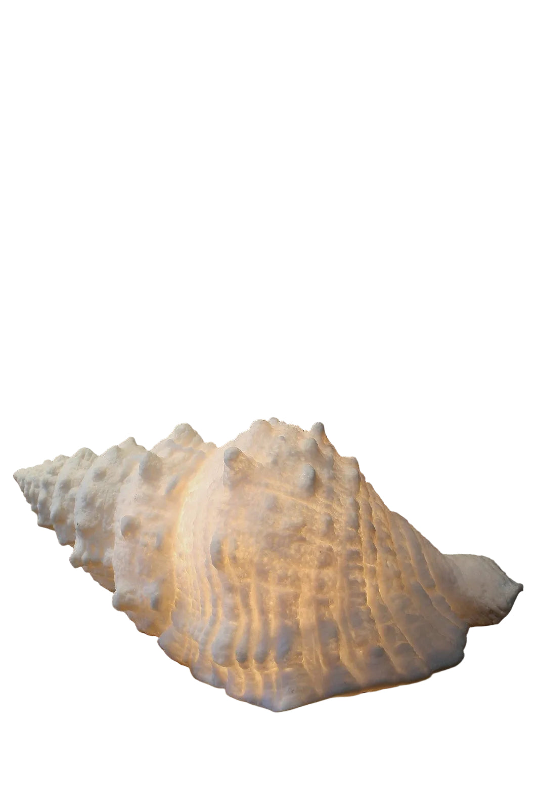 Shell Lamp 18x10x7.5″