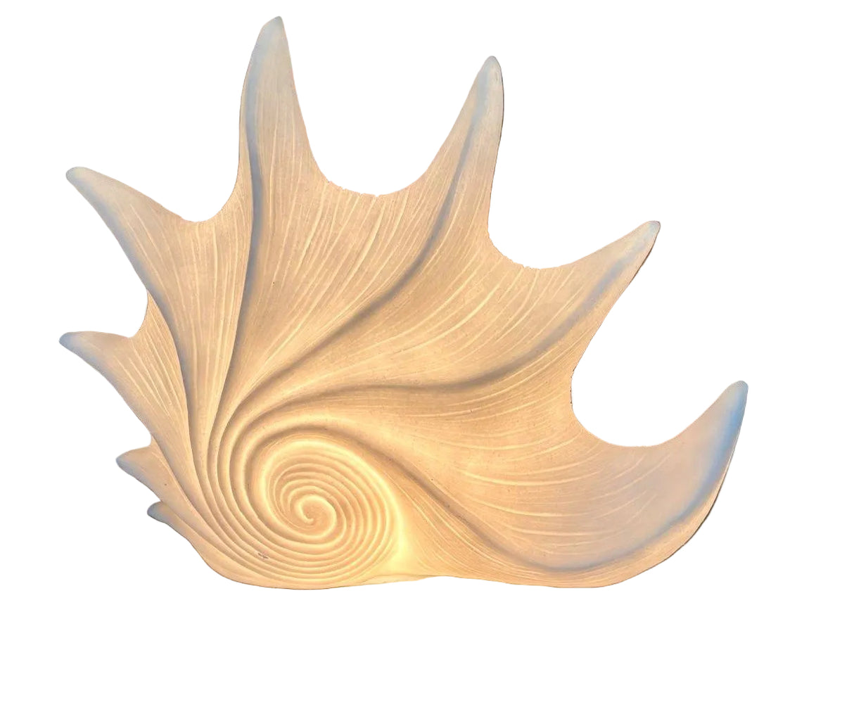 Waved Shell Lamp 14.75x11"