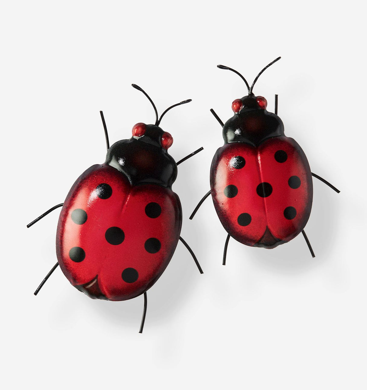 Polka Dot Ladybug Wall Decor