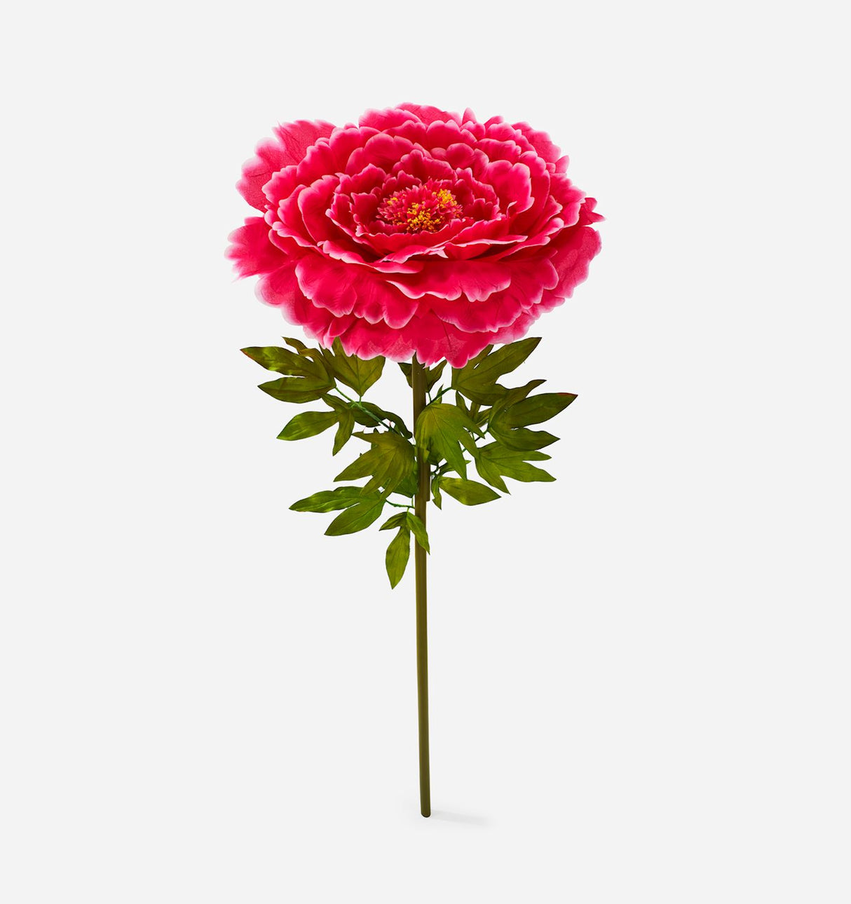 Peony Flower, XXL