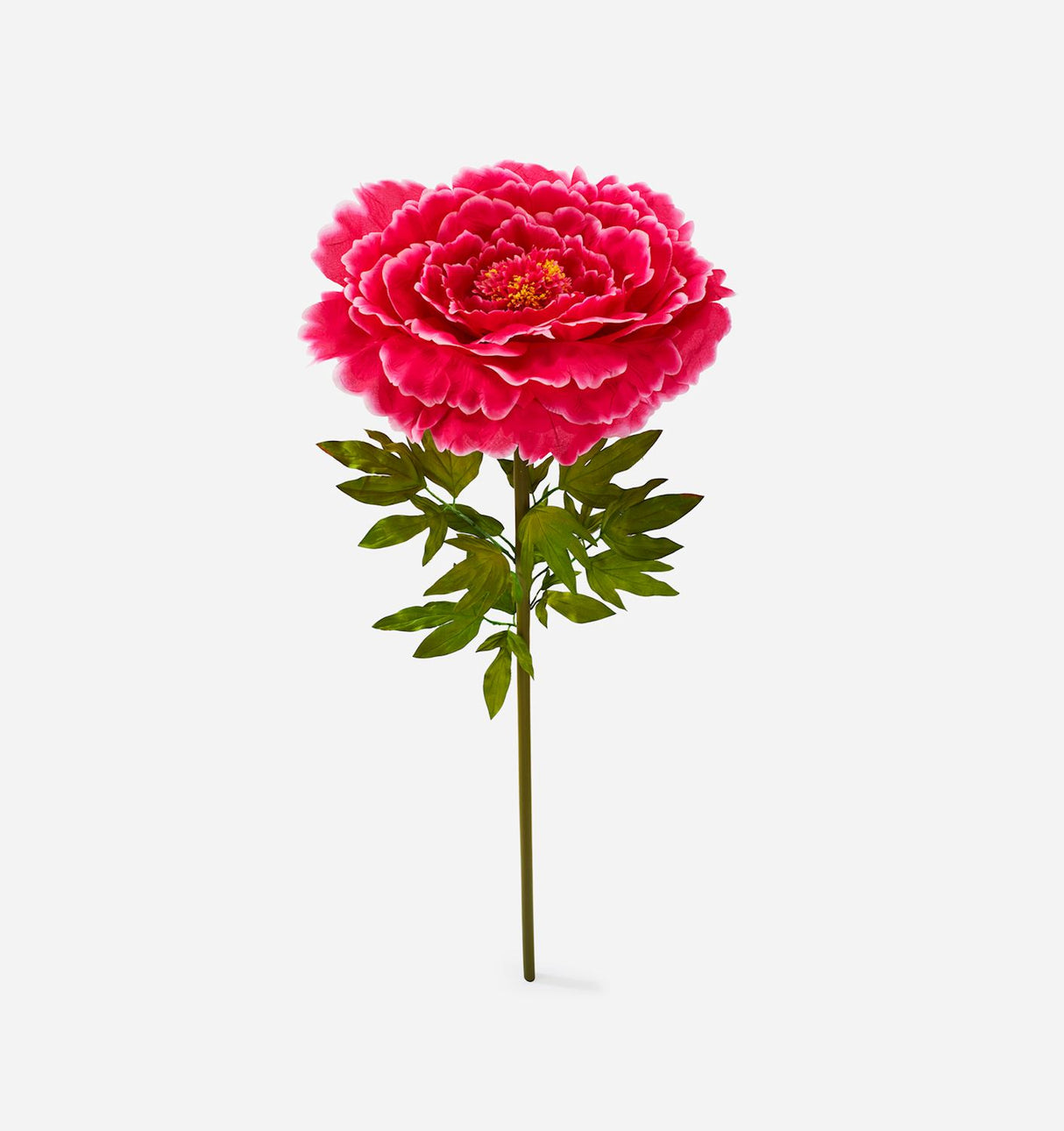 Peony Flower, Extra Large
