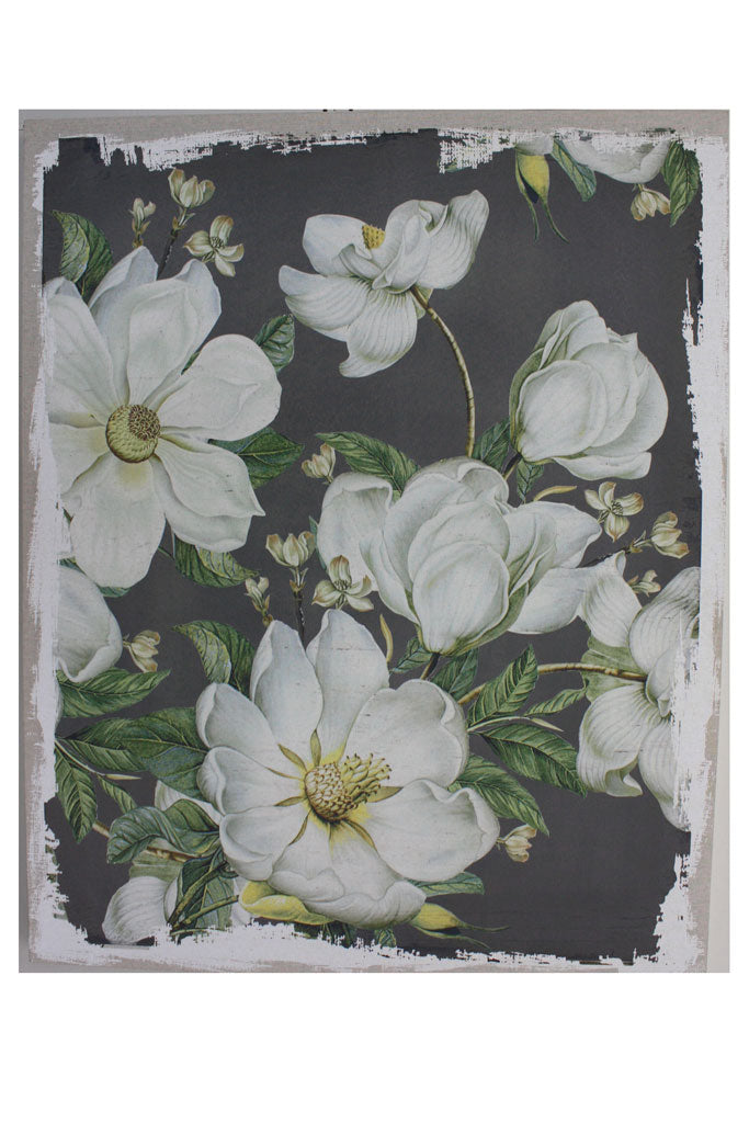 60" Magnolia Blooms Canvas