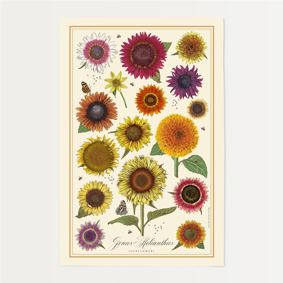 Sunflower Varieties Cotton Towel