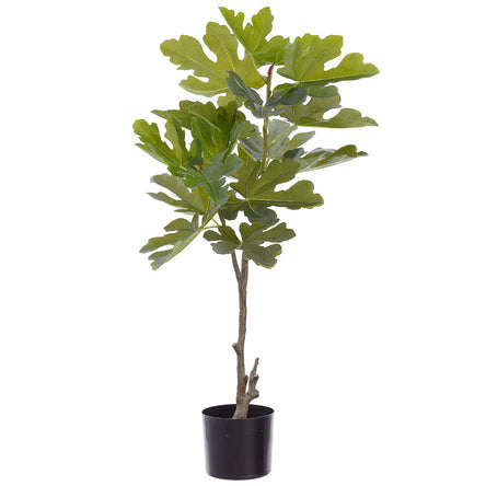 39" Fig Leaf Silk Tree w/Pot -Green