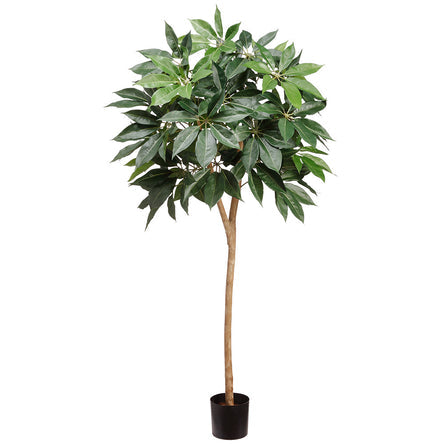 6'6" Schefflera Silk Tree w/Pot -Green