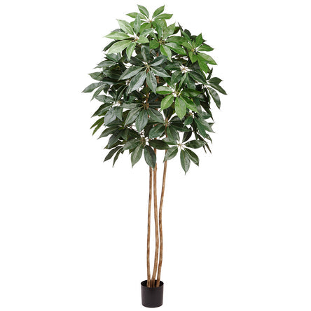 8' Schefflera Silk Tree w/Pot -Green