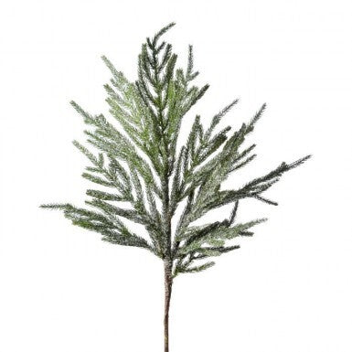 30" Iced Garden Norfolk Pine Branch
