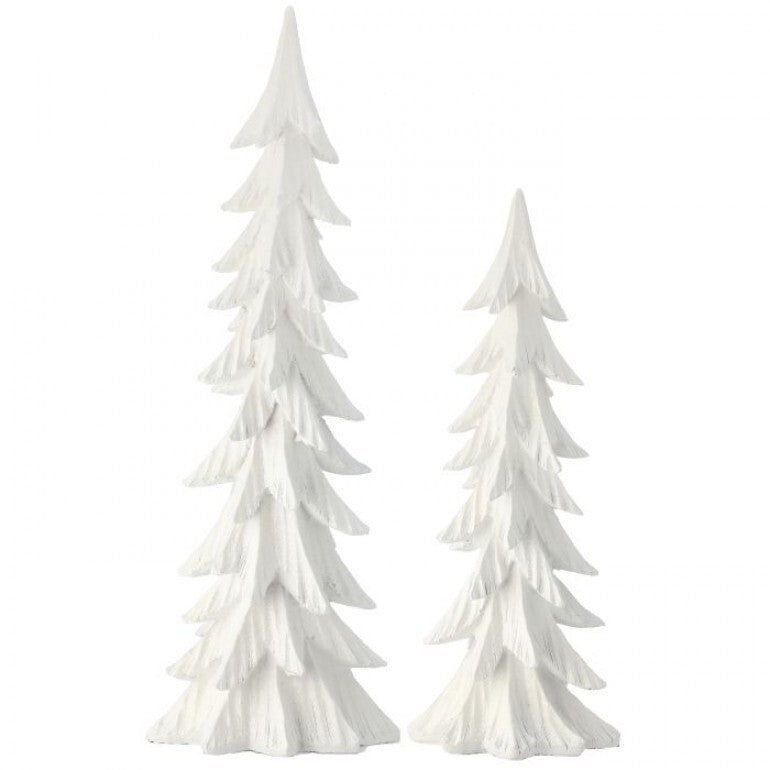 18-24" White Royal Tree