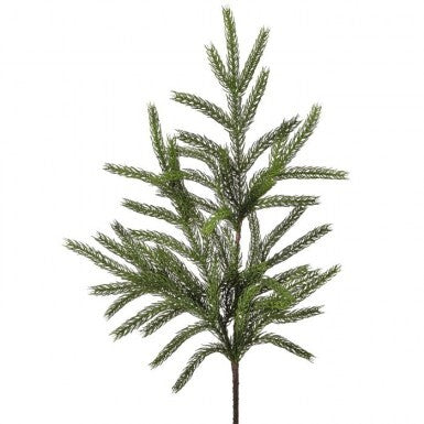 36" Real Touch Forest Norfolk Pine Spray