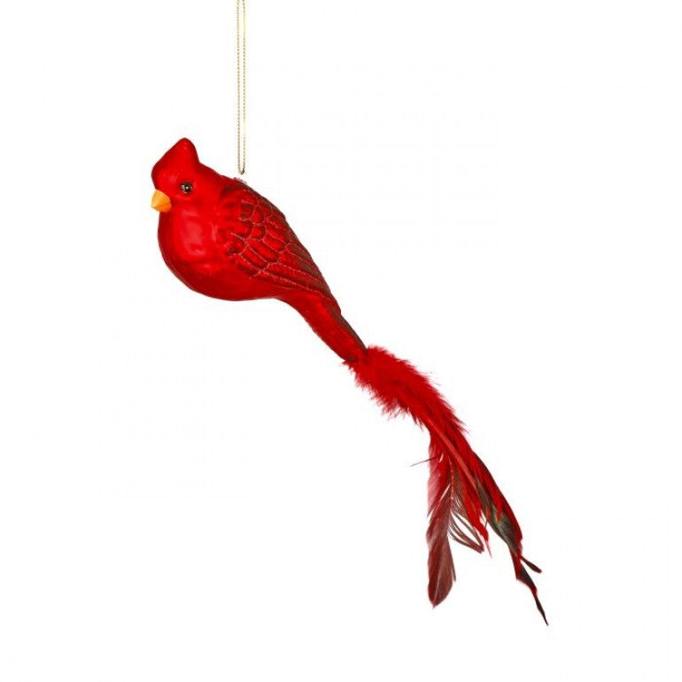 8.5" Glass + Feather Cardinal Ornament