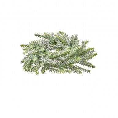 8"Mini Frost Frasier Fir Candle Ring 3.5"Id