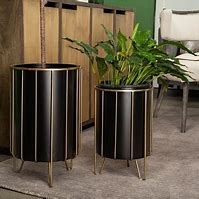 Pianta 13 x 21 Black Metal Insert Brass Frame Plant Stands