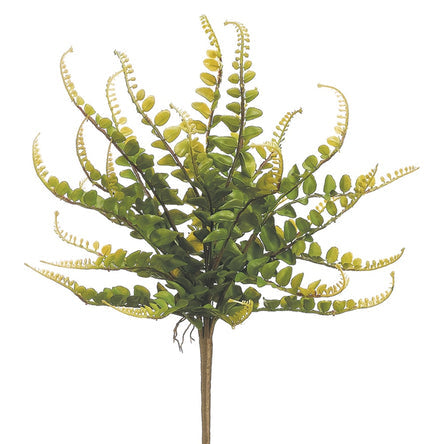 16" Plastic Button Fern Silk Plant -Green