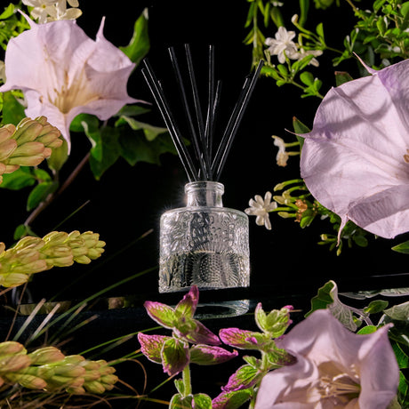 Jasmine Midnight Blooms Reed Diffuser