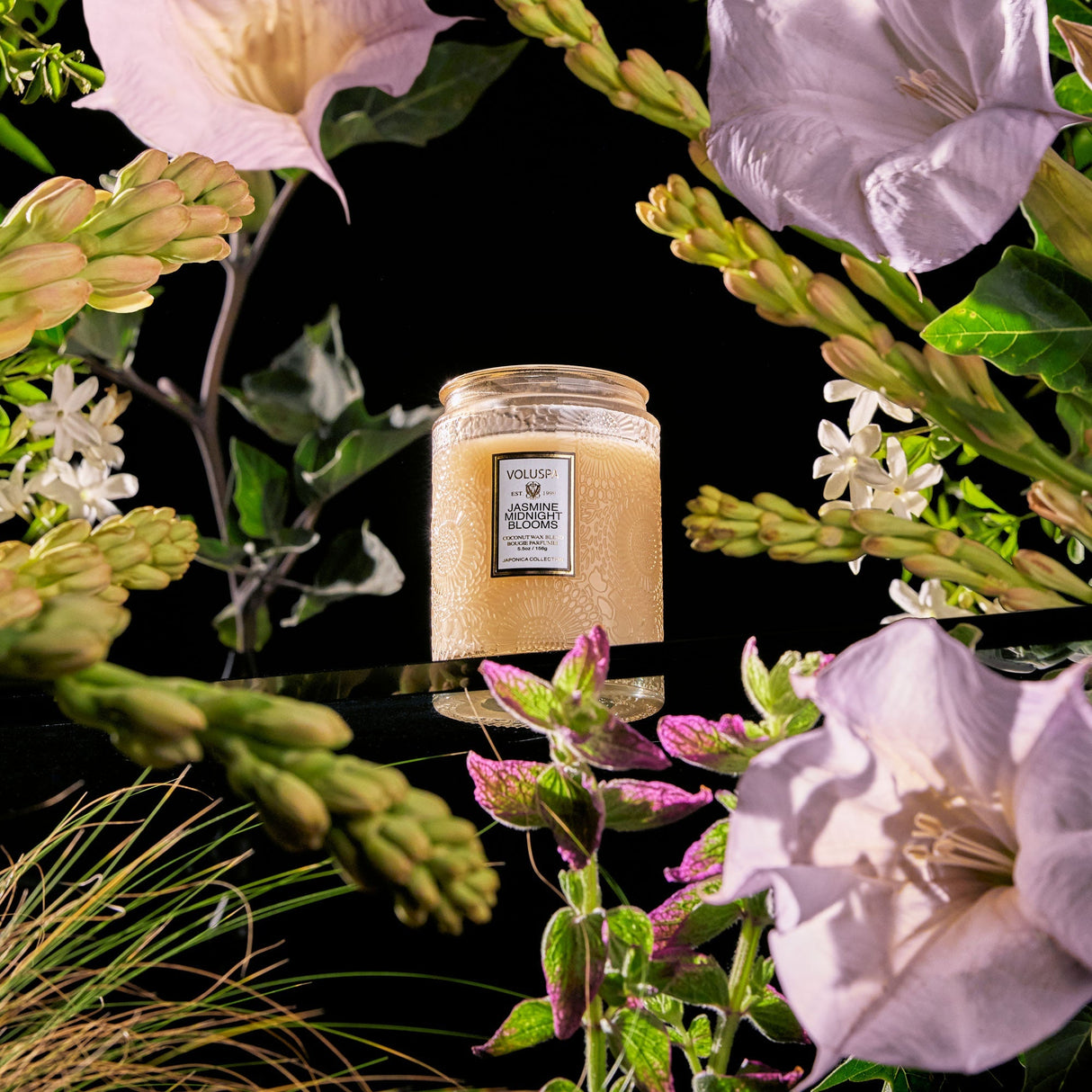 Jasmine Midnight Blooms Jar Candle 5.5 oz.