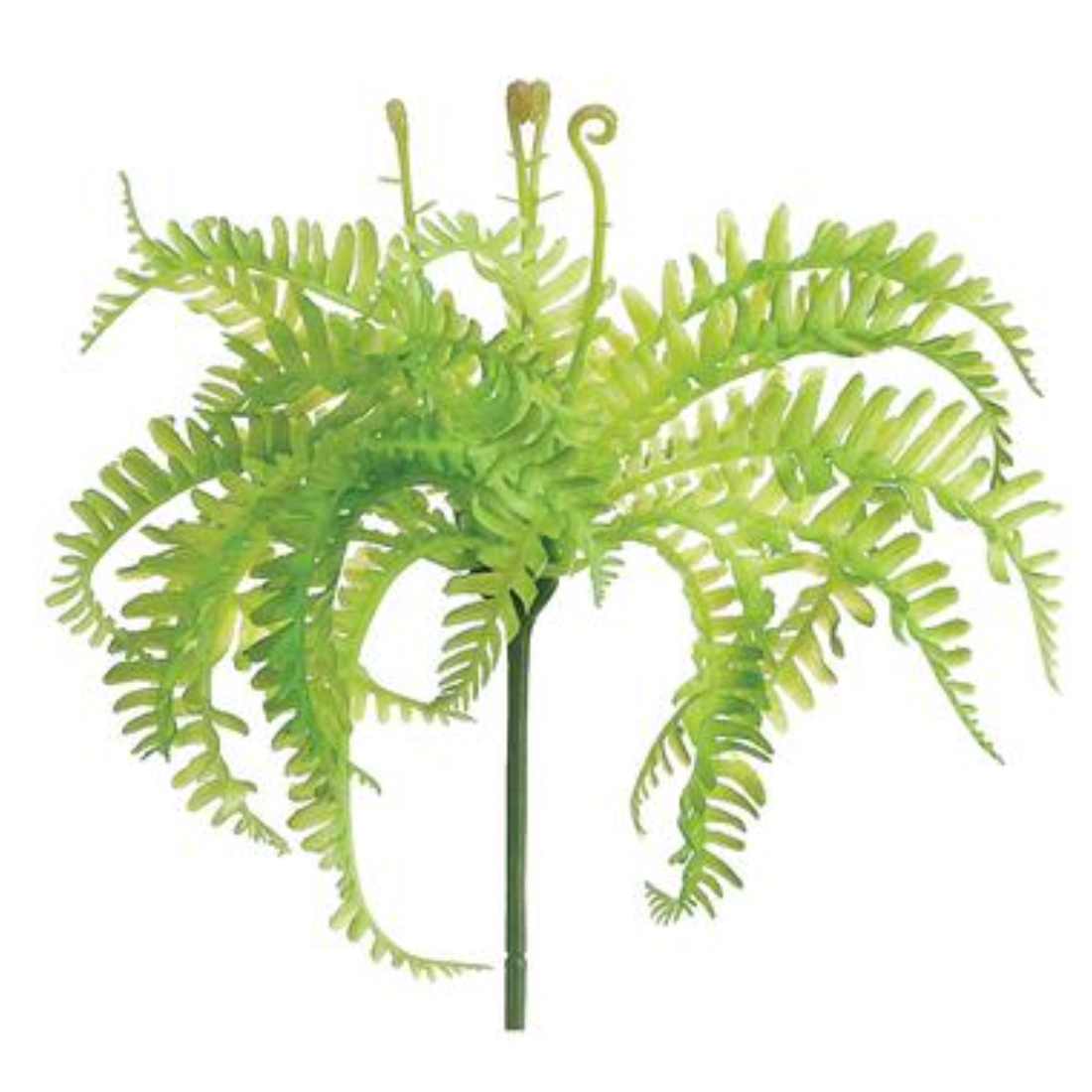 8" Soft Pe Mini Fern Pick