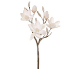 35" SNOWED MAGNOLIA SPRAY -  White