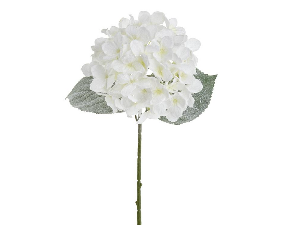 22.5" SNOWED HYDRANGEA SPRAY -  White