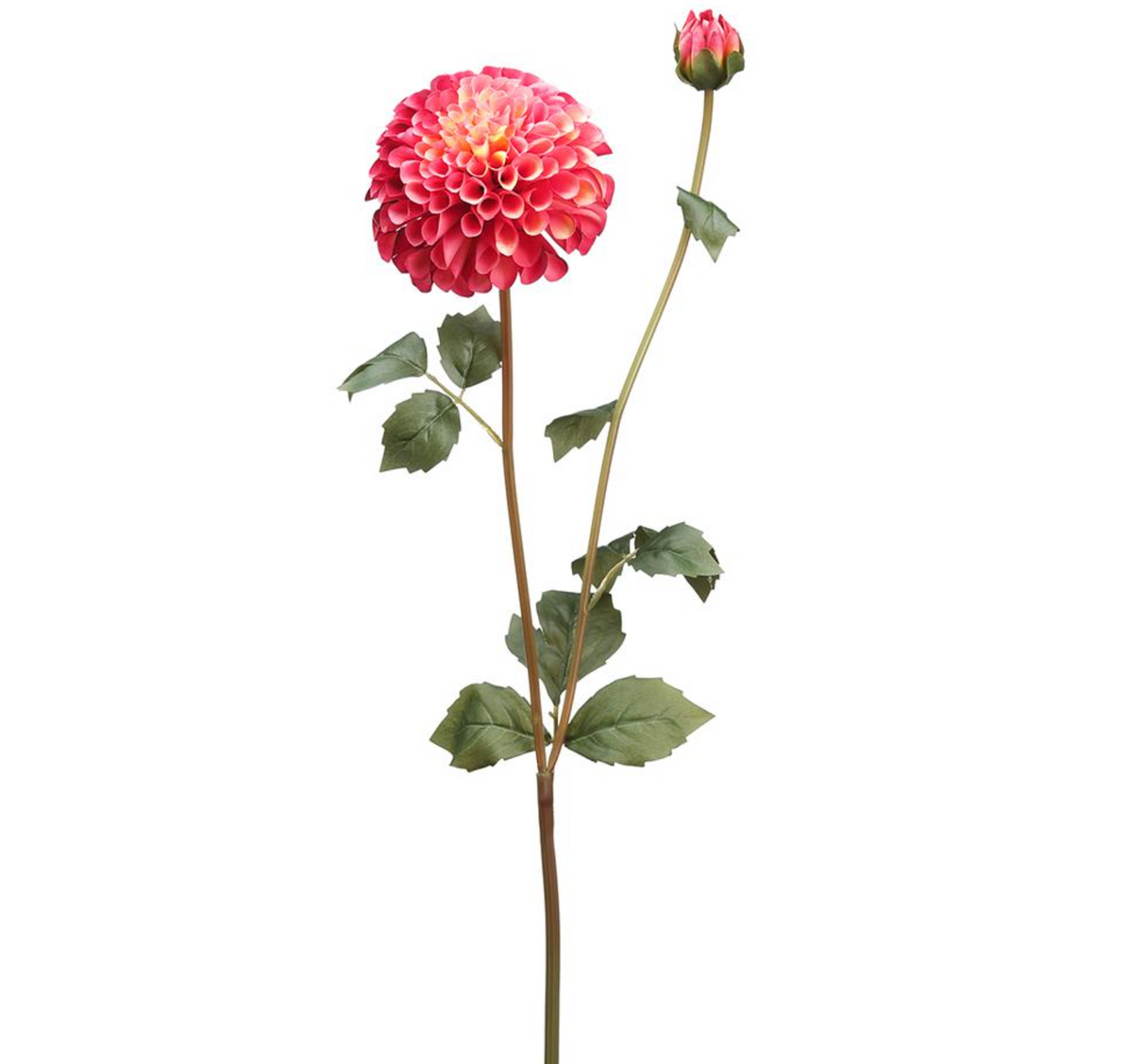 31" Dahlia Spray - Two Tone Rose (RO/TT)