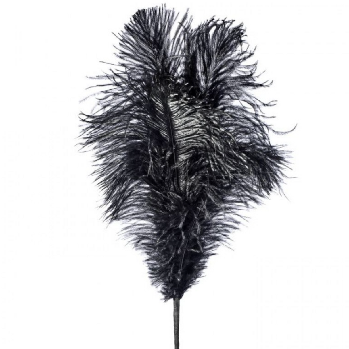 22" OSTRICH PLUME FEATHER SPRAY - BLACK