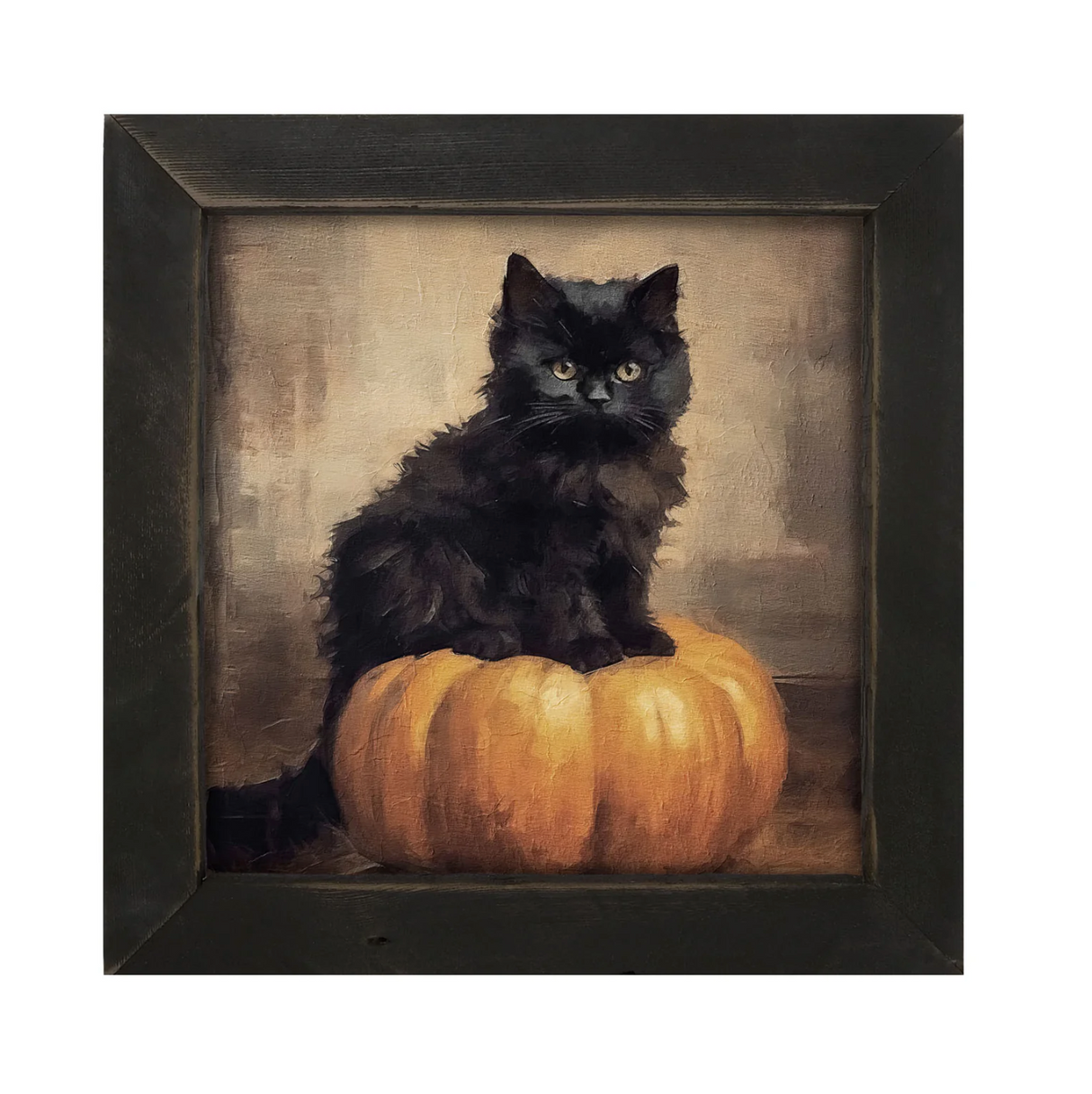 Cat on Pumpkin Picture