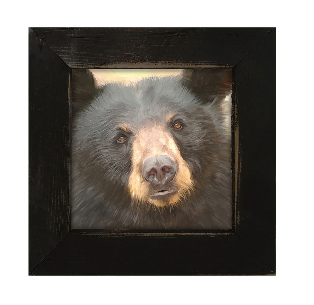 Black Bear - Small Framed Art