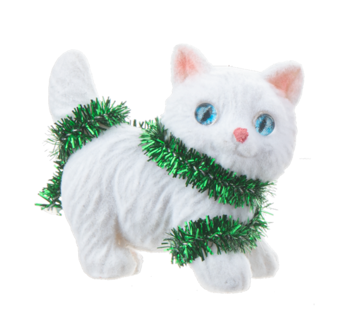 Kitten Charm